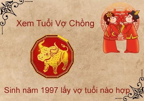 Nam, Nữ 97 Hợp Tuổi Nào? 6 Nguyên Tắc Xem Tuổi Hợp Làm Ăn, Hôn Nhân