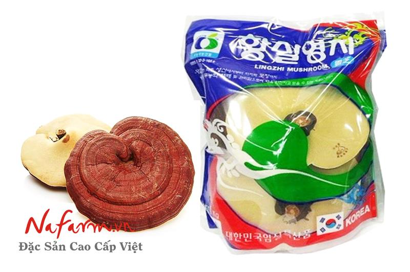 Nấm Linh Chi Đỏ Túi Xanh (1kg)