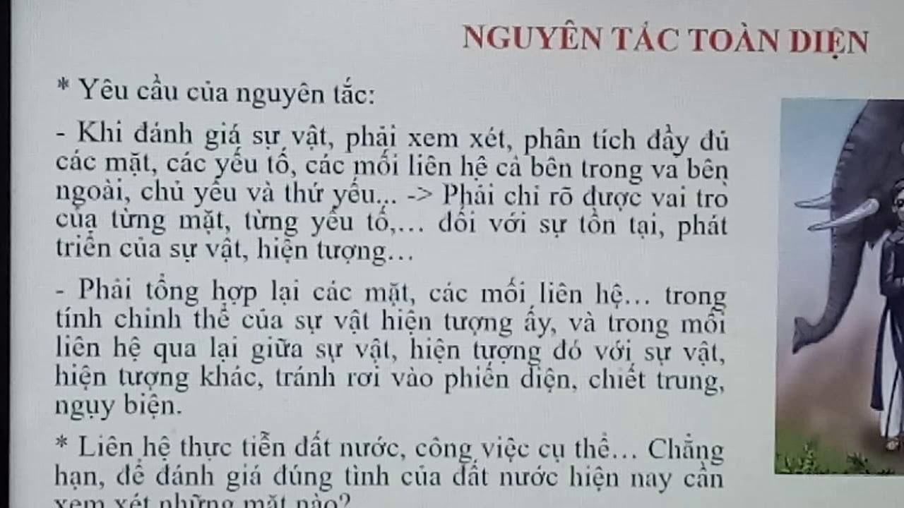 Nguyên tắc toàn diện là gì? (cập nhật 2024)