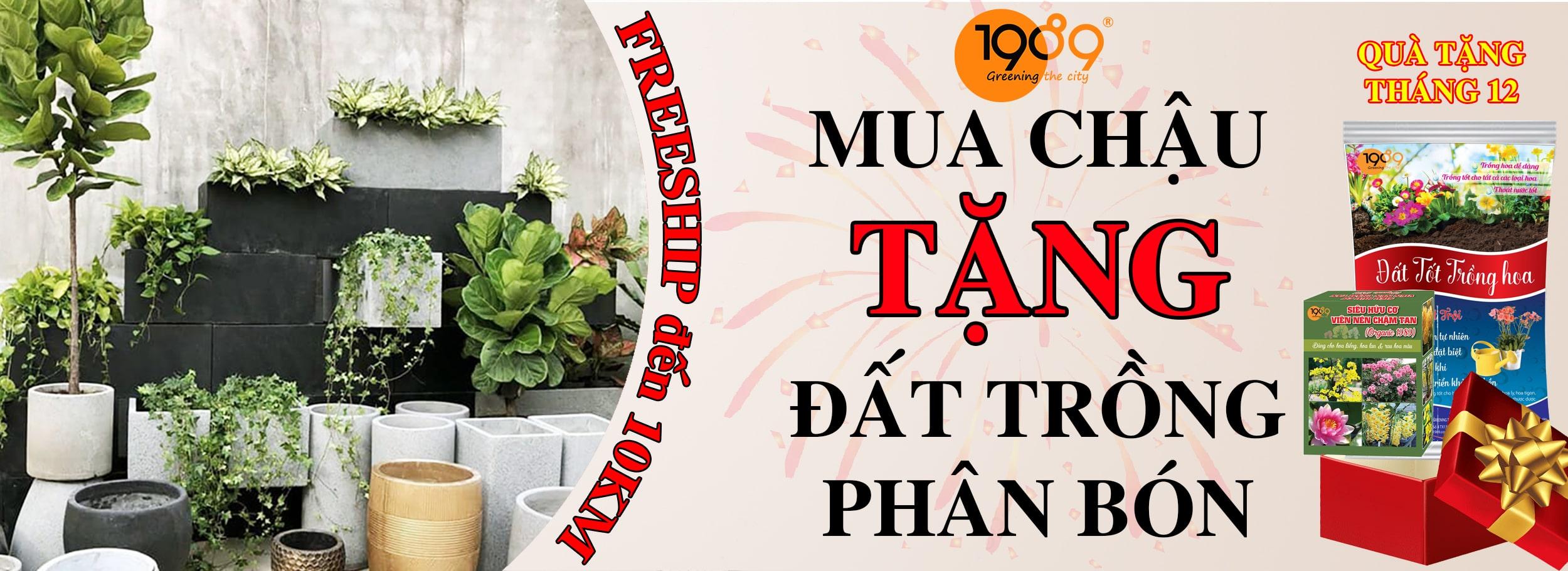 [THAM KHẢO] 40 LOẠI GIỐNG HOA HỒNG ĐẸP NHẤT HÀNH TINH