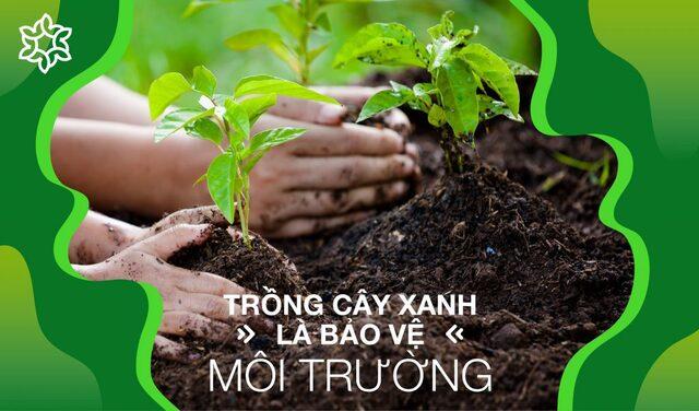 Thông tắc cống giá rẻ