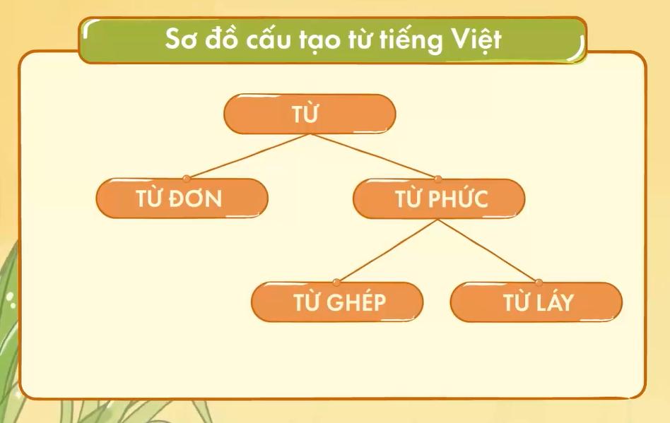 Phân biệt từ đơn từ phức, phân loại từ đơn và ví dụ