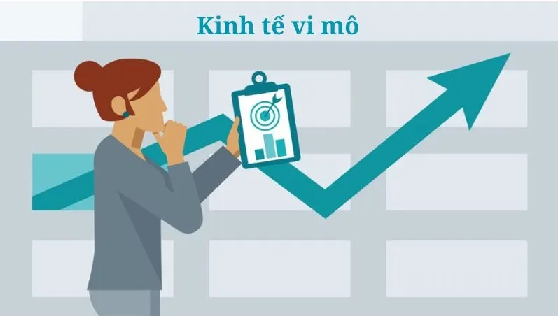 Kinh tế vi mô là gì? Phân biệt thế nào với kinh tế vĩ mô