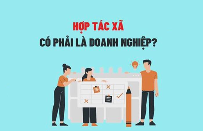 Hợp tác xã vận tải là gì? Quy định xe tải vào hợp tác xã như thế nào?