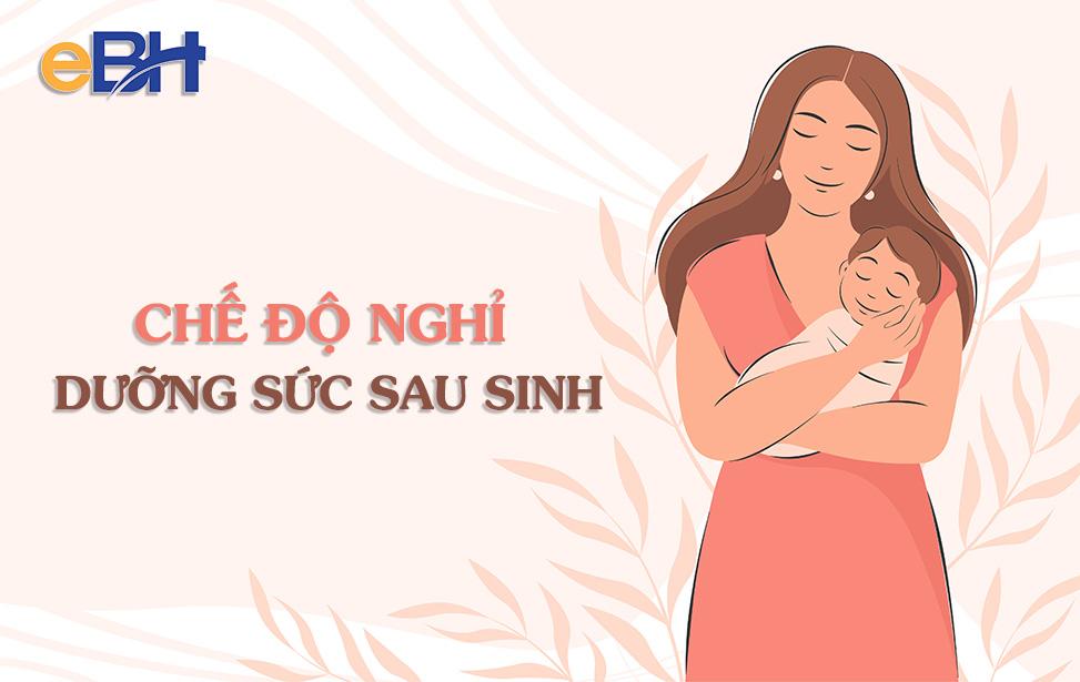 CỔNG GIAO DỊCH BẢO HIỂM XÃ HỘI ĐIỆN TỬ