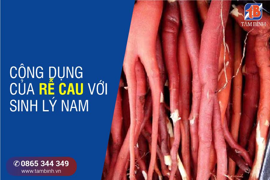 Chữa yếu sinh lý bằng rễ cau: Áp dụng 6 cách hiệu quả nhất