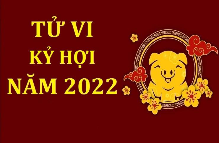 Sinh năm 59 Mệnh gì? Tuổi Kỷ Hợi Hợp tuổi nào & Màu gì?