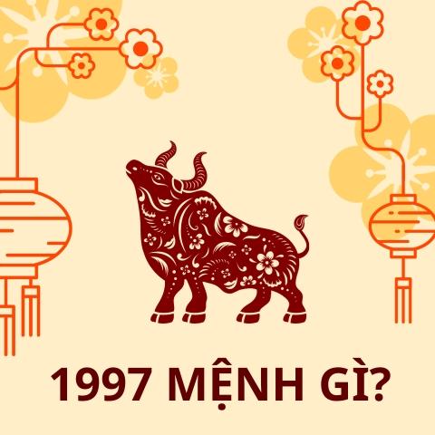 Sinh năm 1997 mệnh gì, tuổi con gì, bao nhiêu tuổi, hợp màu gì?