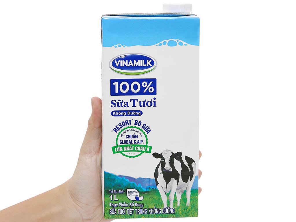 Uống sữa tươi vinamilk không đường có mập không?