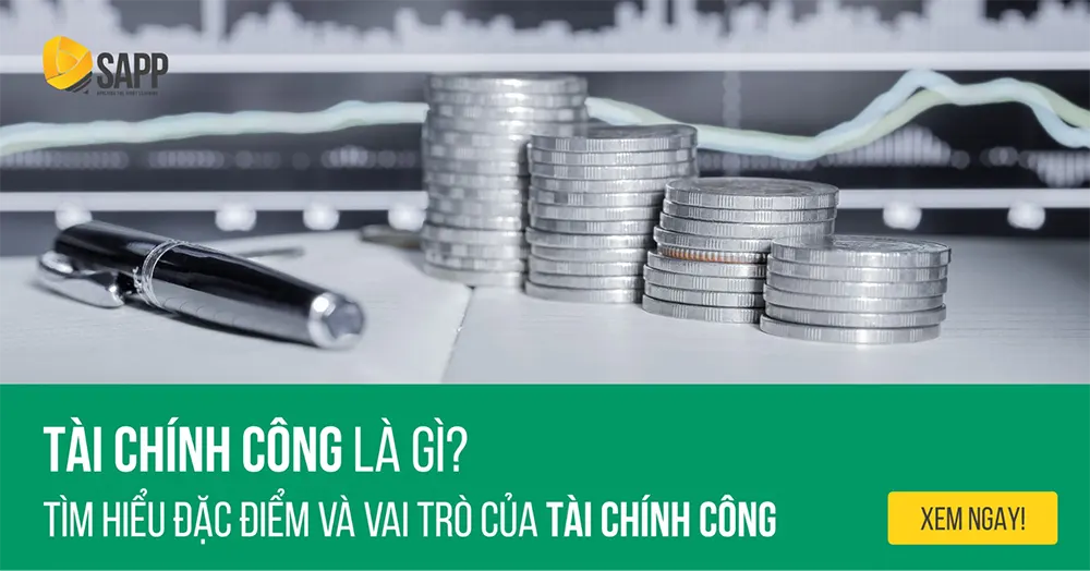 #1 Tài Chính Công Là Gì? Tìm Hiểu Đặc Điểm Và Vai Trò?