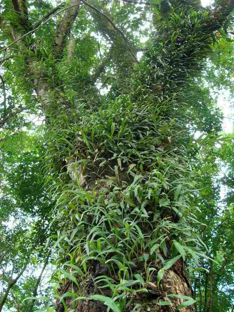 SỞ Y TẾ THÁI NGUYÊN