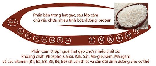 Vật thể nhân tạo là: