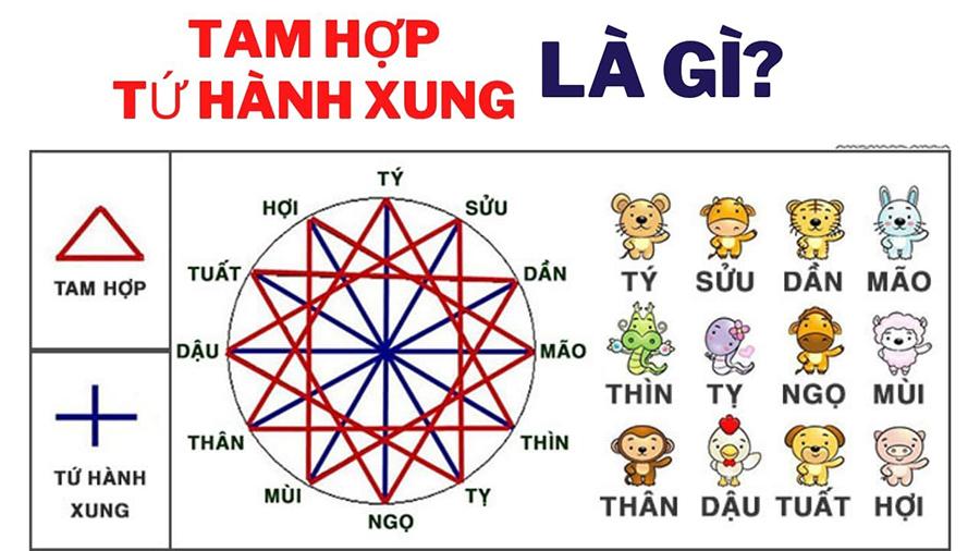 Tứ hành xung tuổi Thìn – Tuất – Sửu – Mùi và cách hóa giải