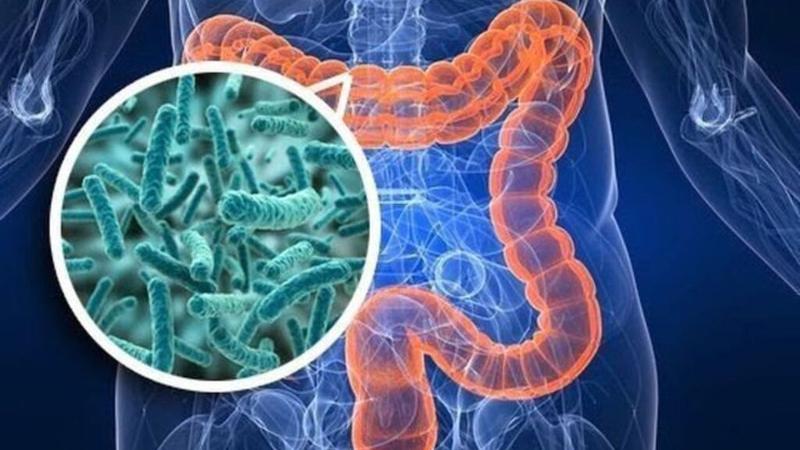 Bioflora có phải là kháng sinh không? Tìm hiểu công dụng của Bioflora