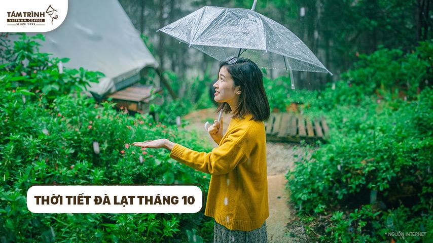 Du Lịch Đà Lạt Tháng 10 Khám Phá Vẻ Đẹp Lãng Mạn Của Mùa Thu