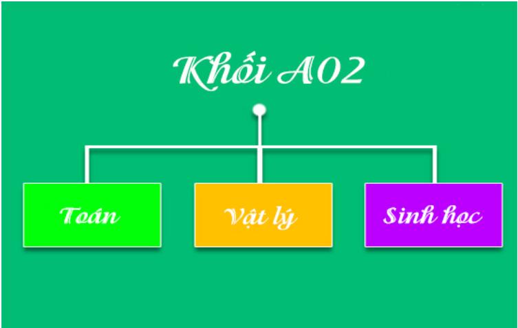 Khối A2 Gồm Những Môn Nào? Ngành Nào? Các Trường Đào Tạo Khối A2