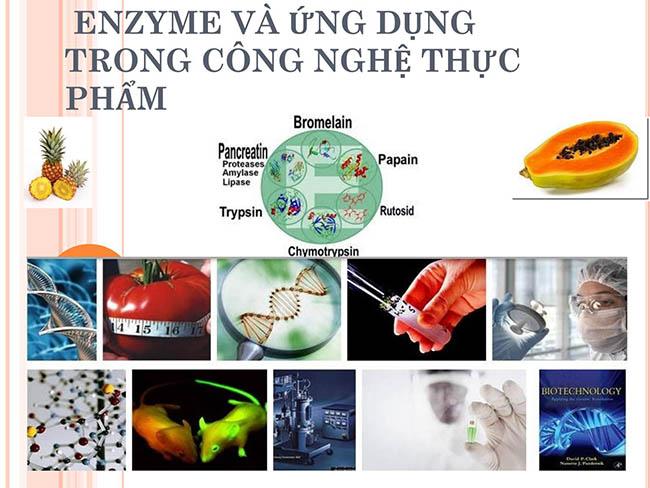 Cổng thông tin tuyển sinh trường Đại học Đông Á Đà Nẵng