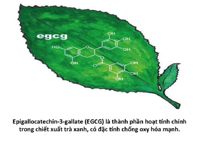 Tin tức