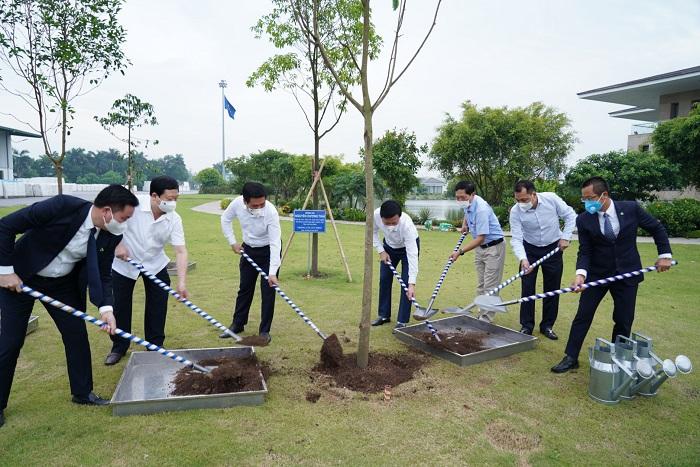 Cây xanh và những lợi ích đem đến cho môi trường