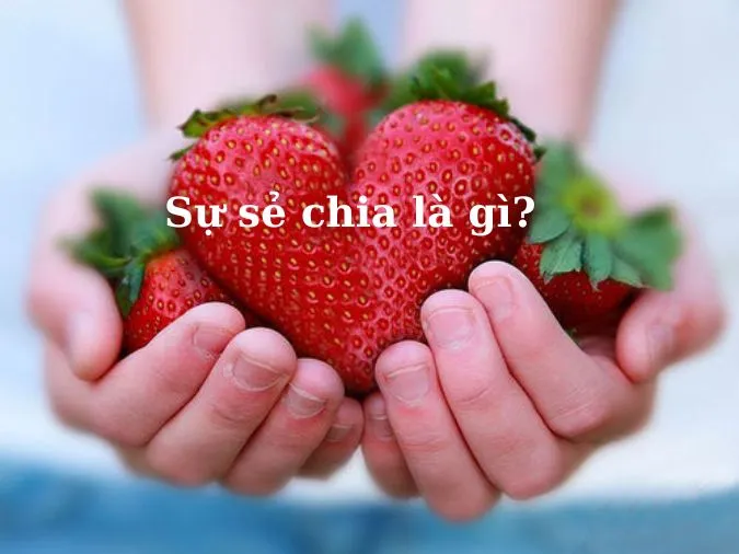 Sự sẻ chia là gì? Ý nghĩa của sự sẻ chia trong cuộc sống?