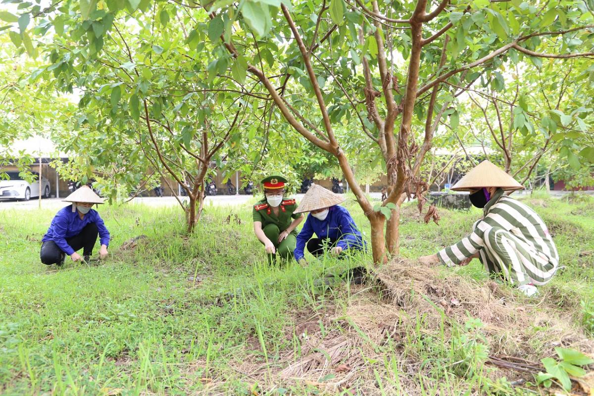 Hình phạt tù có thời hạn tối đa bao nhiêu năm?