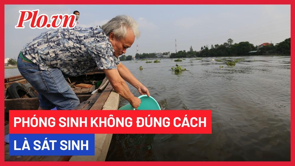 Phóng sinh sao cho đúng cách?